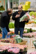 MIN RUNGIS-Fleurs-61